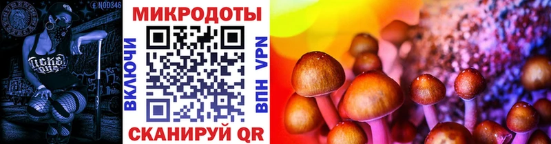 Купить где  Карабулак  Псилоцибиновые грибы MAGIC MUSHROOMS 